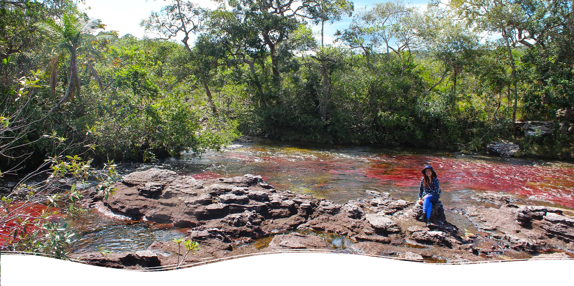 Cano Cristales