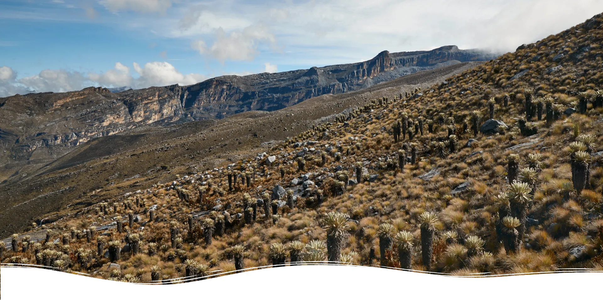 Nevado El Cocuy3