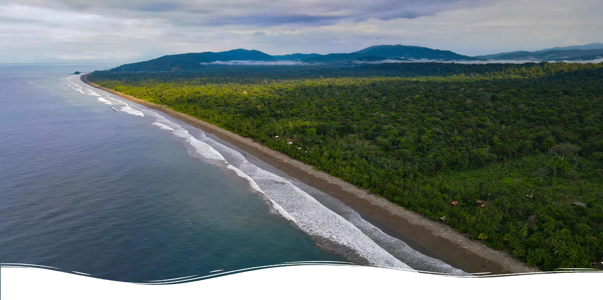 Pacifico3