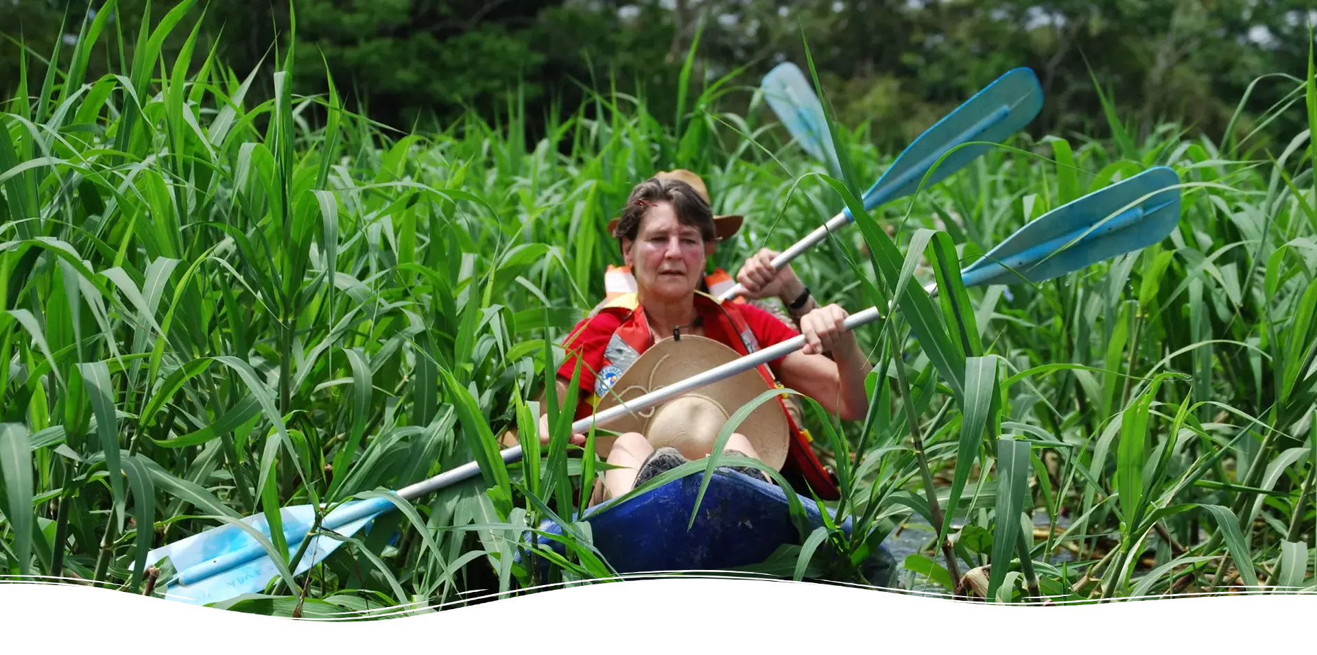 Slider-Amazonas