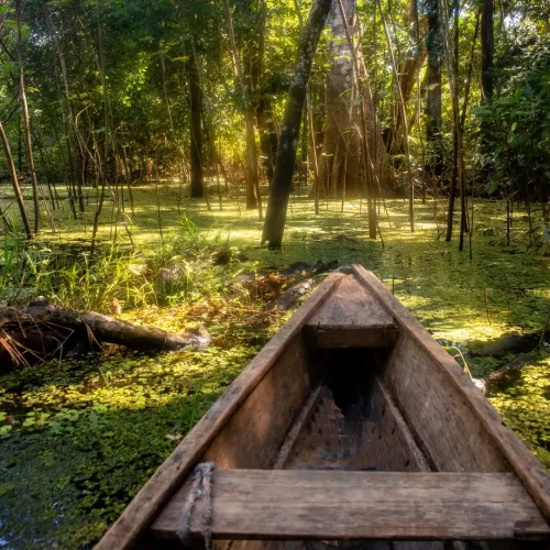 Amacayacu_National_Park