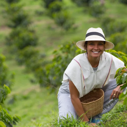 Coffee Farm Salento