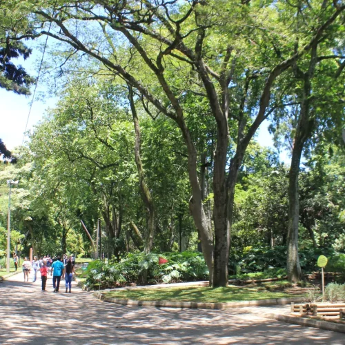 Jardin botanico Medellin