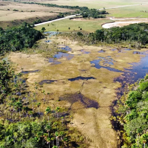 Morichales Colombia