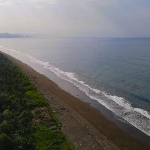 Pacific Coast