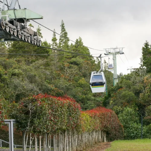 Parque Arvi