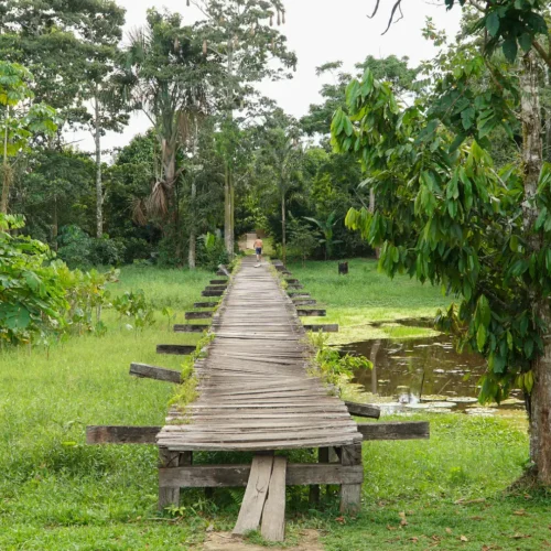 Parque-Nacional-Amacayacu