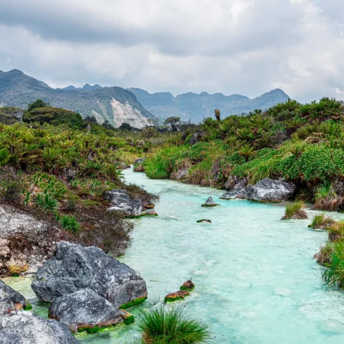 Parque Nacional Purace