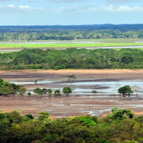 Savanna Colombia
