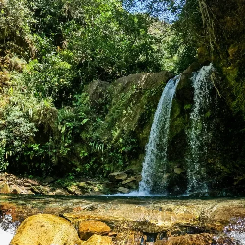 Tauramena