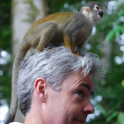 Wildlife Amazonas