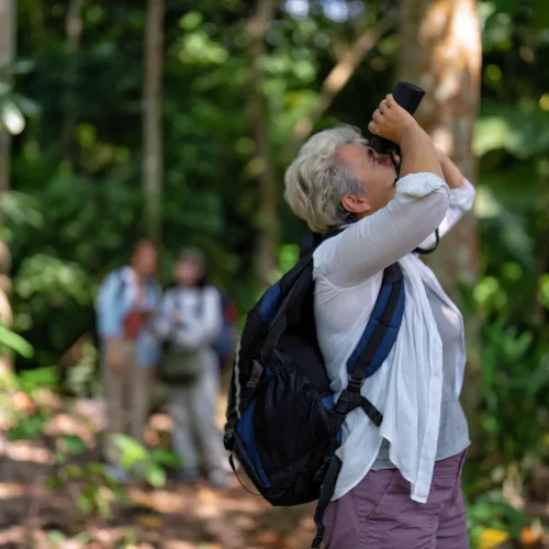 colombia-birding-tour